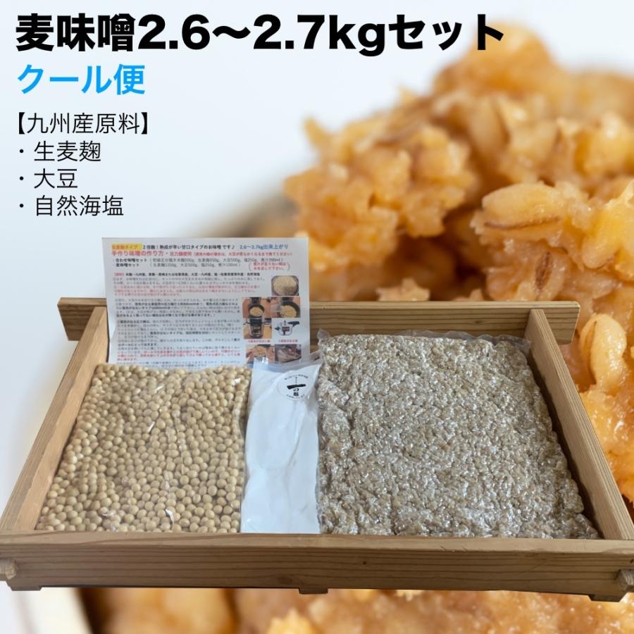 クール便 味噌作りセット 麦味噌2 7kg 約2 6 2 7kg 生麦麹 無添加 九州産 手作り味噌セット Mugimiso3kgset 川添酢造 ヤフー店 通販 Yahoo ショッピング