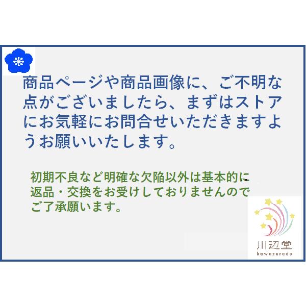 全国どこでも送料無料ハスクバーナ・ゼノア ゼノア クールベストPro