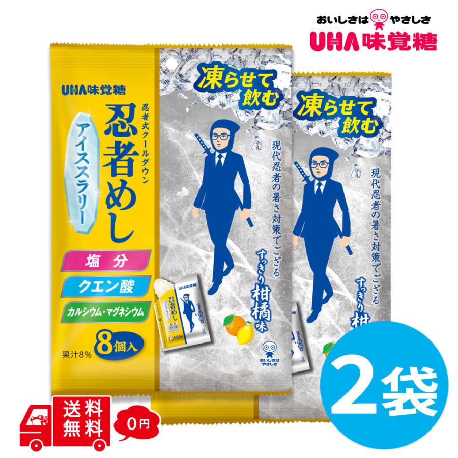 忍者めし アイススラリー すっきり柑橘味 2袋 (1袋8個入) 熱中症対策