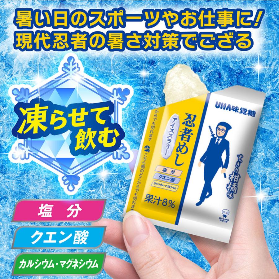 忍者めし アイススラリー すっきり柑橘味 4袋 (1袋8個入) 熱中症対策