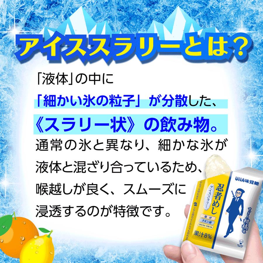 忍者めし アイススラリー すっきり柑橘味 4袋 (1袋8個入) 熱中症対策