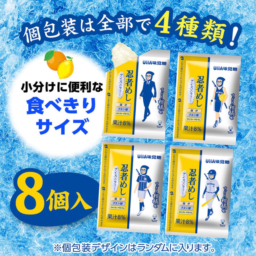 忍者めし アイススラリー すっきり柑橘味 4袋 (1袋8個入) 熱中症対策