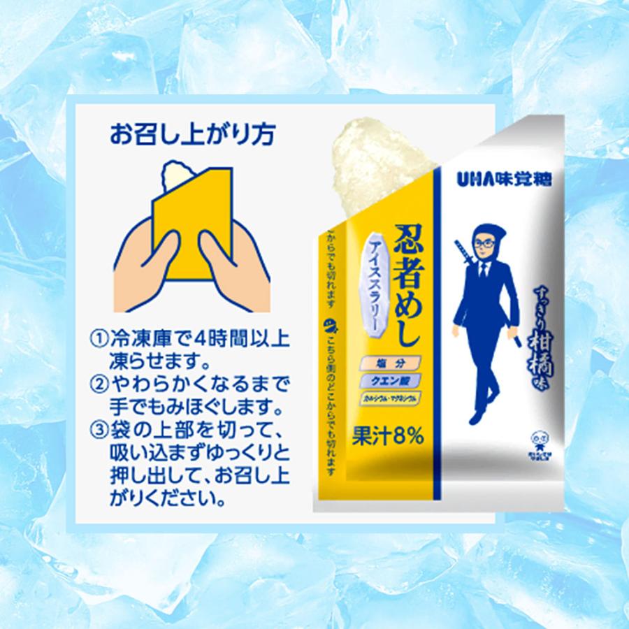 忍者めし アイススラリー すっきり柑橘味 5袋 (1袋8個入) 熱中症対策