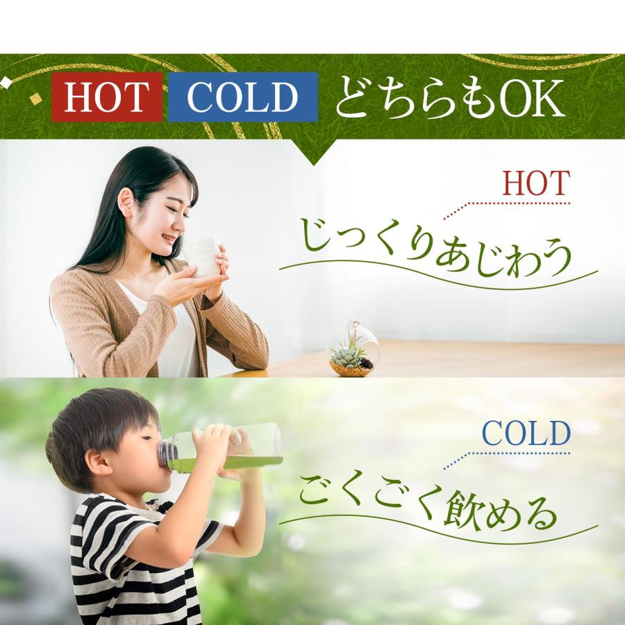 粉末緑茶 寿司屋の 粉末茶 200g （100g×2袋） 静岡 粉茶 お茶 粉砕茶