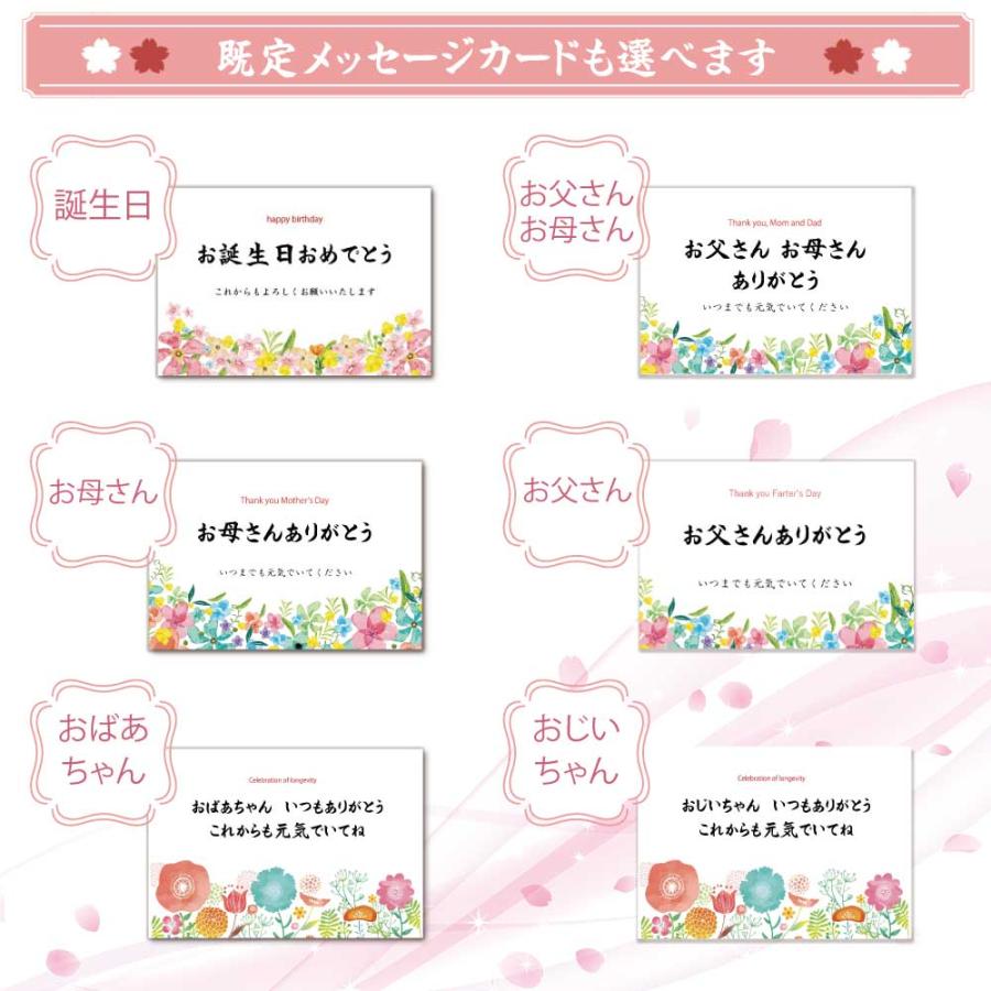 母の日 父の日 ペア ギフト 60g 2缶 桜缶入り セット 2026 新茶 緑茶