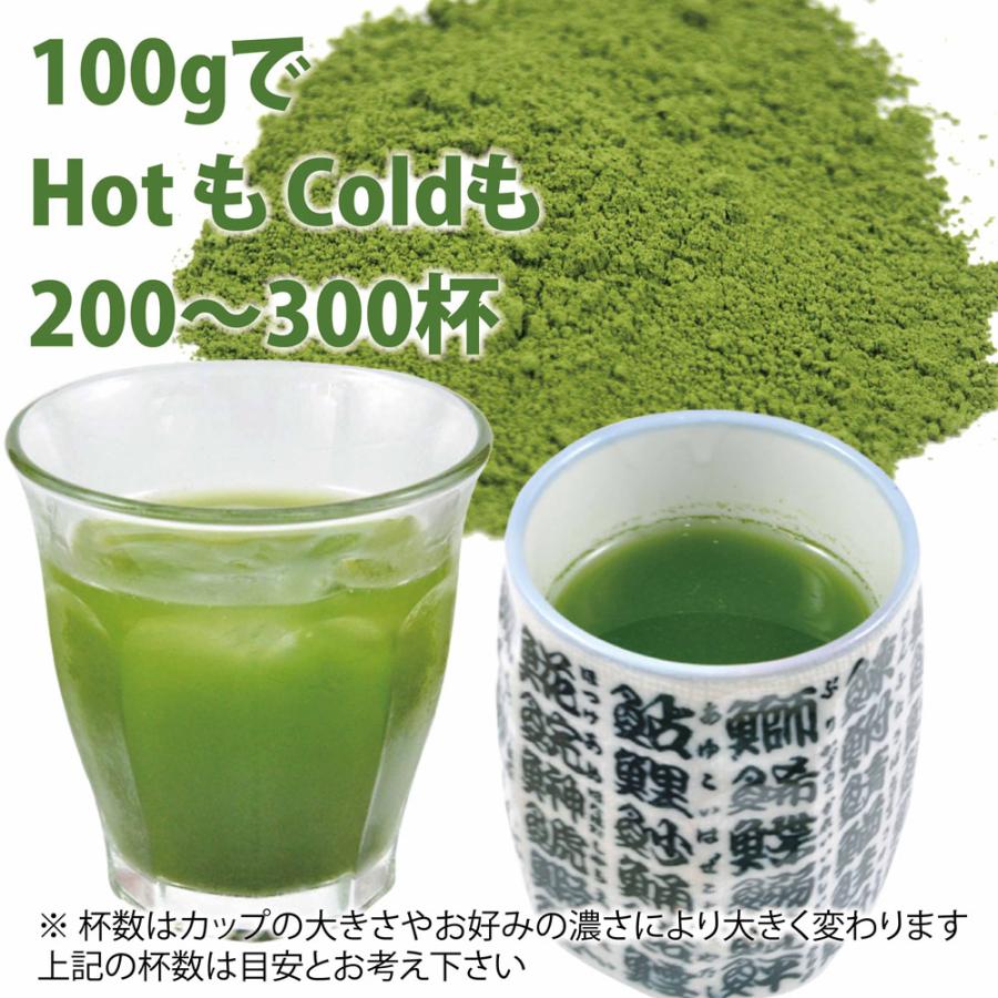 ひろみM様専用 粉末緑茶100g×5袋 煎茶100g×5袋 健康