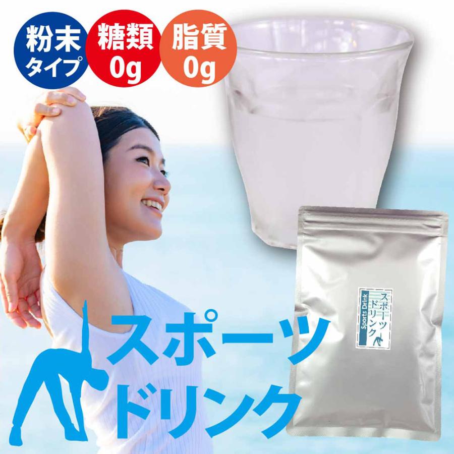 スポーツドリンク 粉末 100g入 ※ 熱中症対策 水筒 ボトル 500ml スポーツドリンク 粉末 100g入 ※ 熱中症対策 水筒 ボトル 500ml
