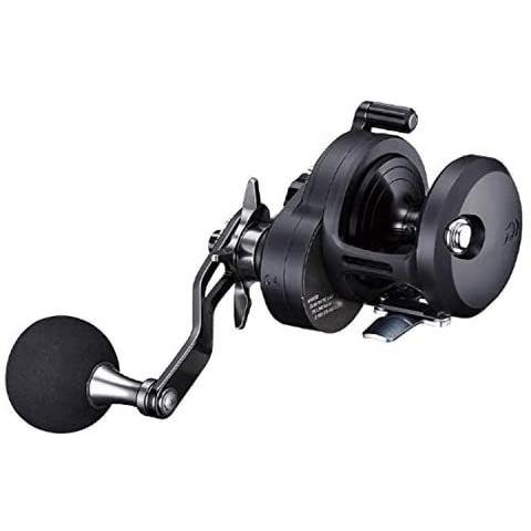 ダイワ(DAIWA) ベイトリール 19 キャタリナ (2019モデル)