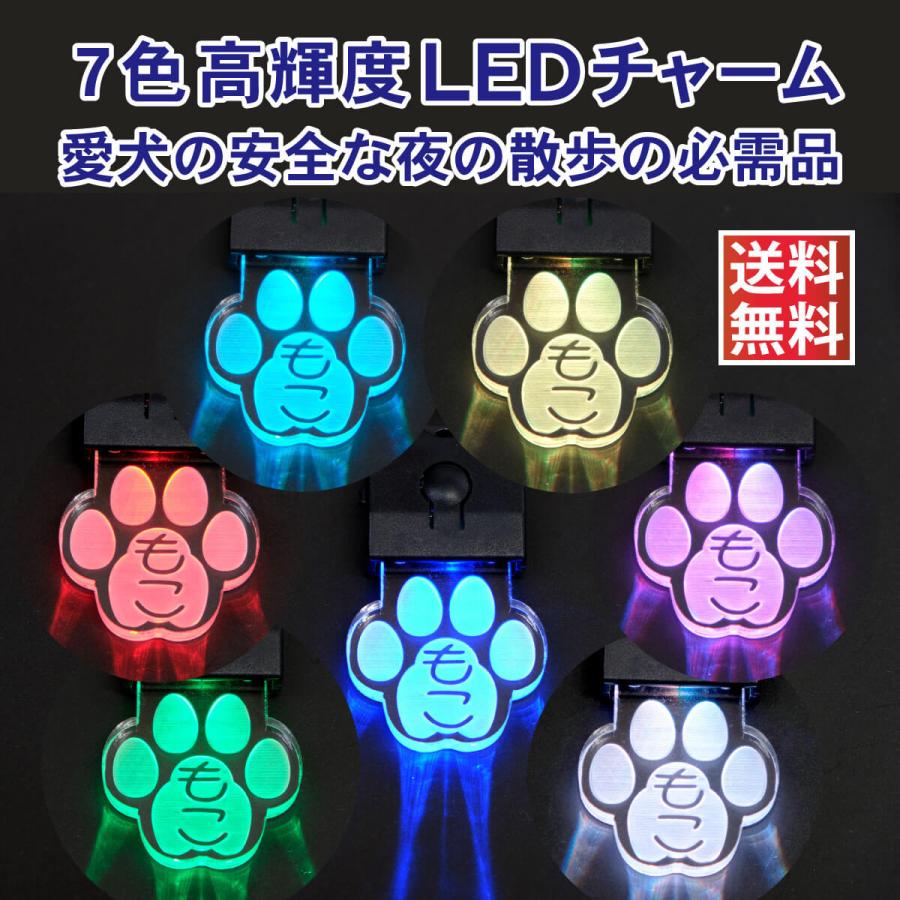 ペット ペット用品 LED 犬 アクセサリー製作 注文 名入れ エッジライト
