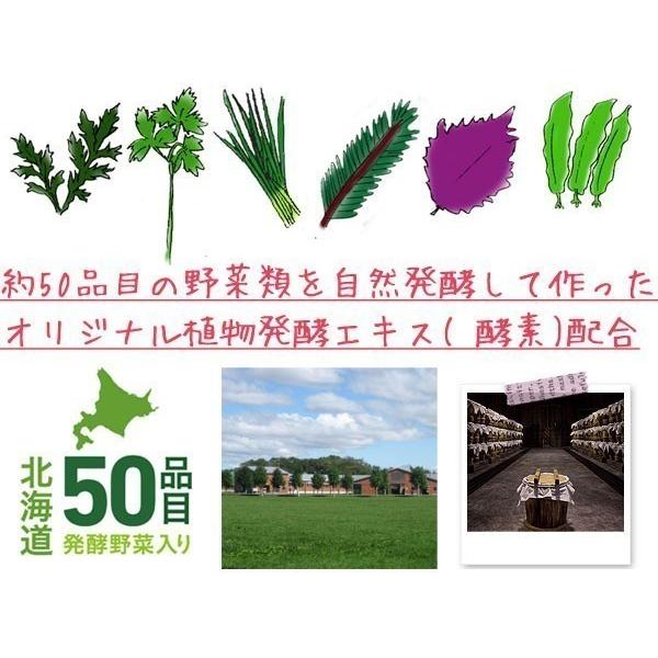 犬 サプリメント 国産 無添加 植物発酵酵素 ドリンクタイプ 健康飲料