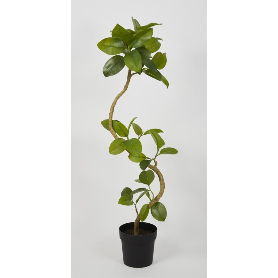 ツイストアルテシマポット アルテシマ 観葉樹 観葉植物 H P47 季節の飾り屋さん 通販 Yahoo ショッピング