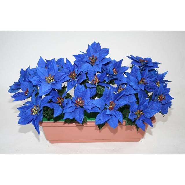 ポインセチアプランター Bl M 4068 季節の飾り屋さん 通販 Yahoo ショッピング