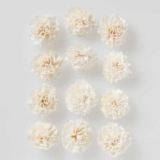 ソーラーファインカーネーション 小 白 ドライフラワー ナチュラル素材 ハンドメイドフラワー T Do 010 季節の飾り屋さん 通販 Yahoo ショッピング