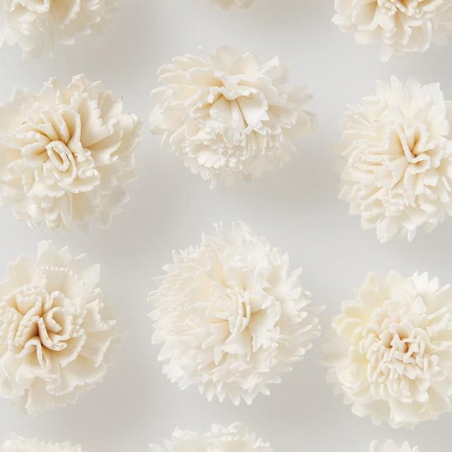 ソーラーファインカーネーション 小 白 ドライフラワー ナチュラル素材 ハンドメイドフラワー T Do 010 季節の飾り屋さん 通販 Yahoo ショッピング