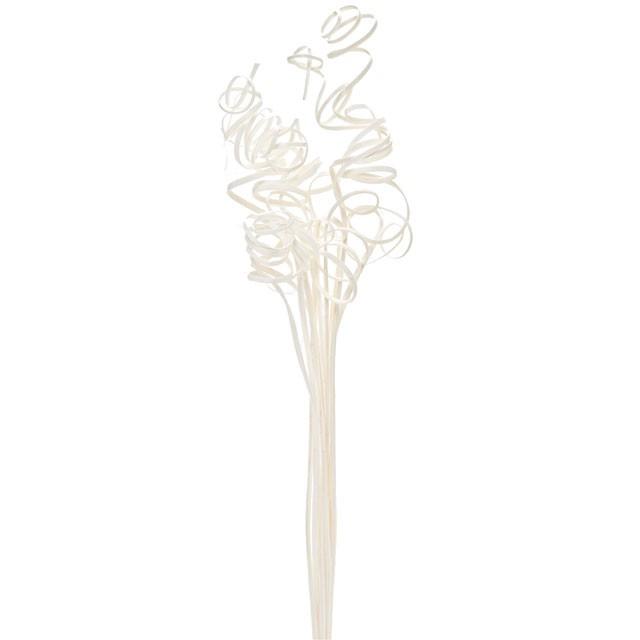 Sale 96 Off ケーンカール 白 ドライフラワー 枝もの サラシ 取寄せ品