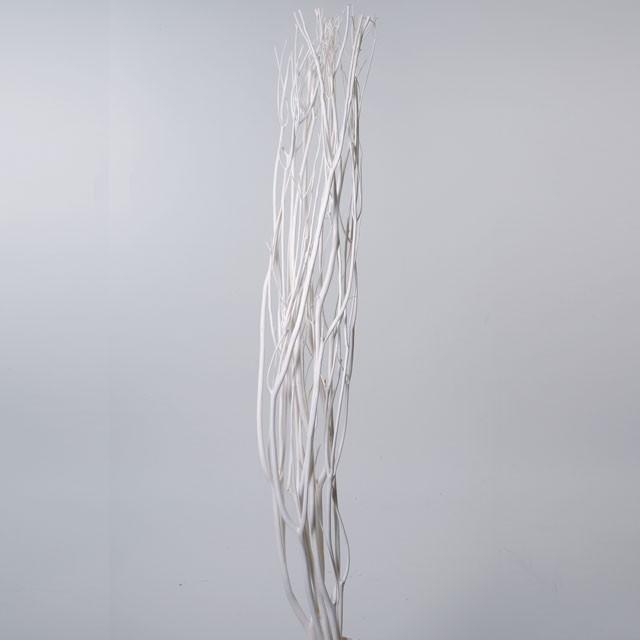 三又 １００ｃｍ 白 ドライフラワー 枝もの サラシ 取寄せ品 Segurosaurora Com