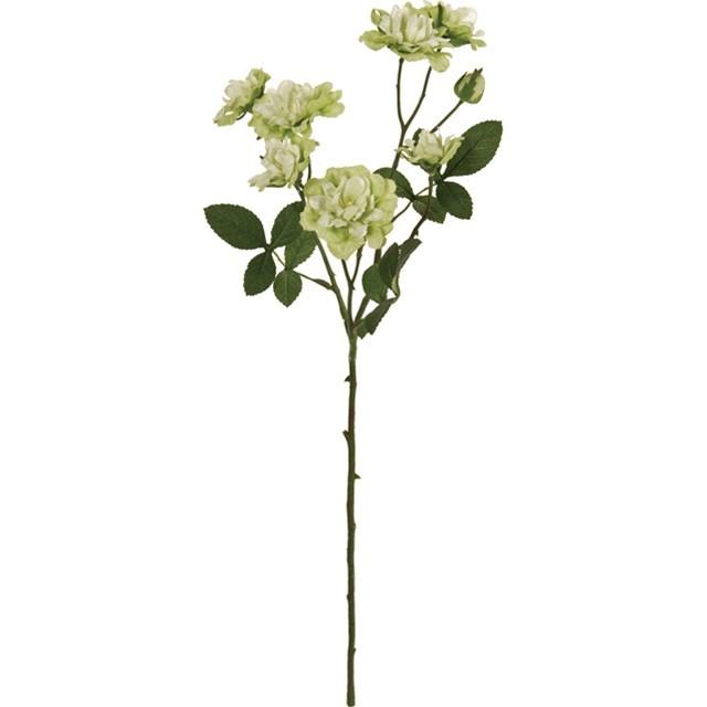 バンクシア 花（造花、アートフラワー）の商品一覧 | 花、ガーデニング 通販 - Yahoo!ショッピング