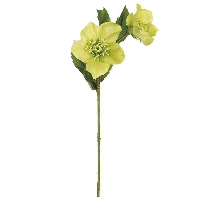 プリムクリスマスローズ ＃２３　ＬＩＭＥ 24本入り 造花 フラワー クリスマスローズ