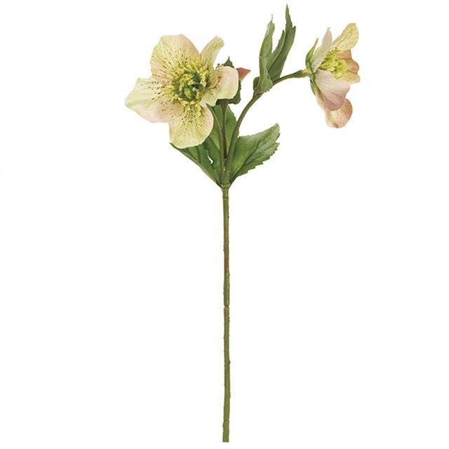 プリムクリスマスローズ ＃２５　ＣＣ／ＧＲ 24本入り 造花 フラワー クリスマスローズ