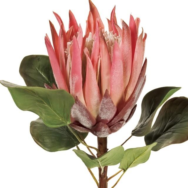 キングプロテア ２ ｐｉｎｋ 造花 フラワー トロピカルフラワー T Fw 002 季節の飾り屋さん 通販 Yahoo ショッピング