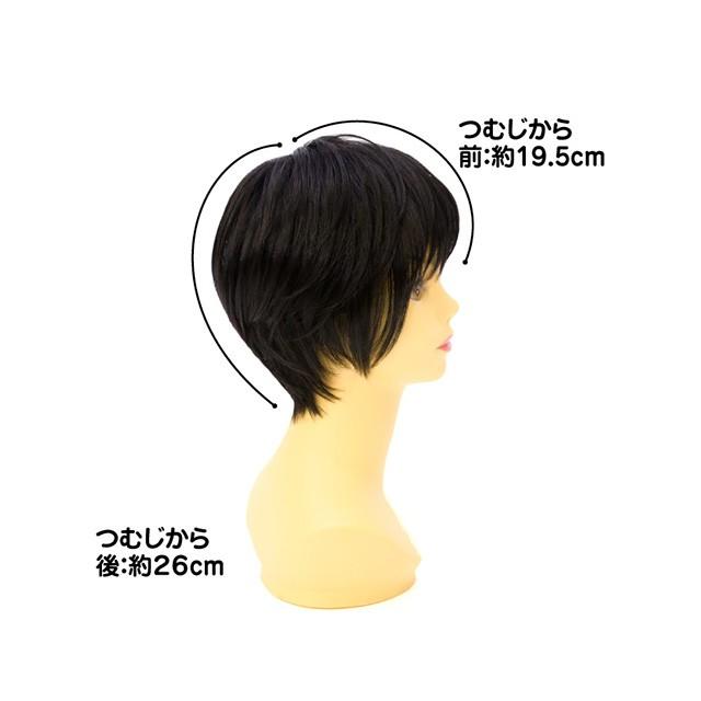 プリシラ PRISILA ウィッグ A-676 黒髪 ナチュラルショート フル