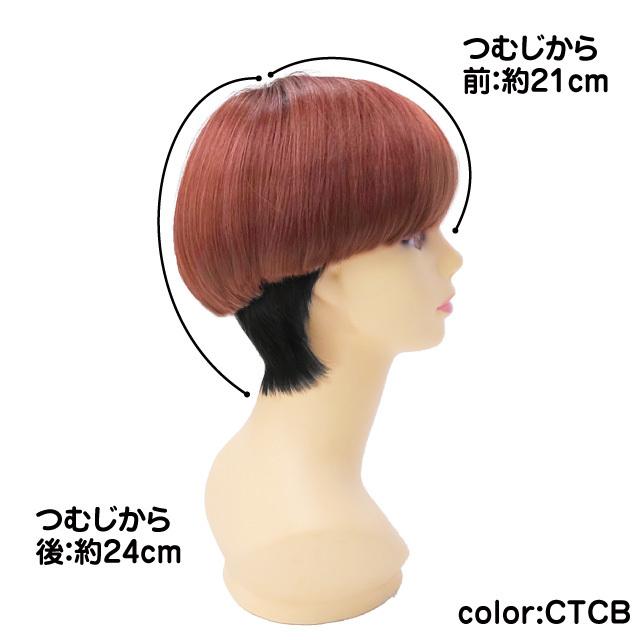 プリシラ ウィッグ CTA-200 韓国アイドル風 韓流 ユニセックス グラデ