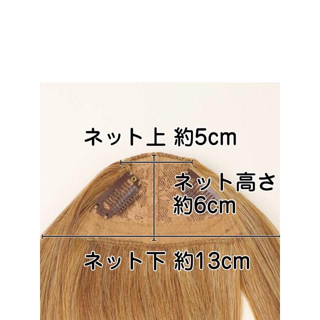 前髪 ウィッグ プリシラ 前髪ウイッグ サイドあり FX-05 耐熱 : かざる