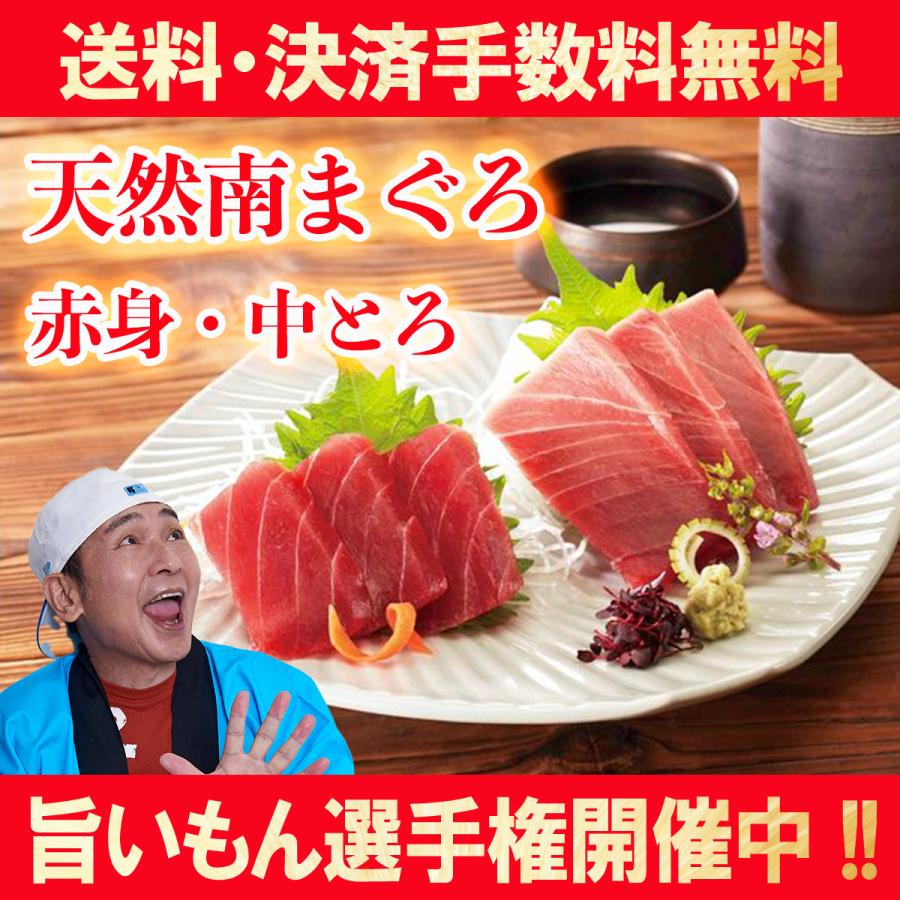 激安オンライン販売 マグロ 送料無料 天然南まぐろ 赤身450g 中とろ450g お歳暮 ギフト 旨いもん選手権開催中 竜王 アウトレット Superavila Com