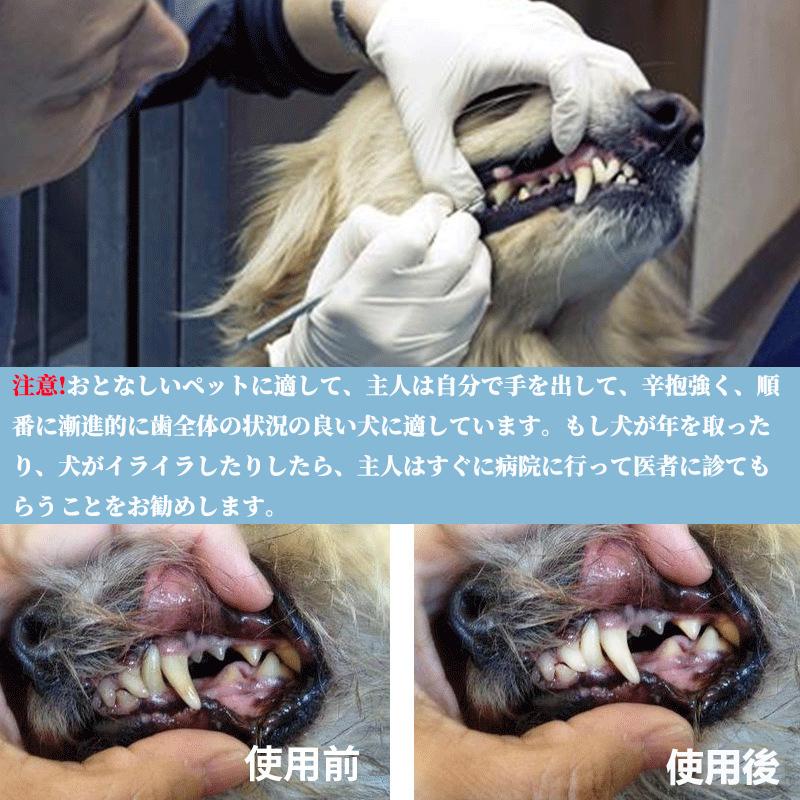 犬用スケーラー 歯石除去 歯石取り 器具 ペット 歯磨き 犬 猫 わんちゃん 口腔ケア 両頭タイプ フラットタイプ 鉤形 鎌形 タイプ5本セット Kaze0145 風ストア 通販 Yahoo ショッピング