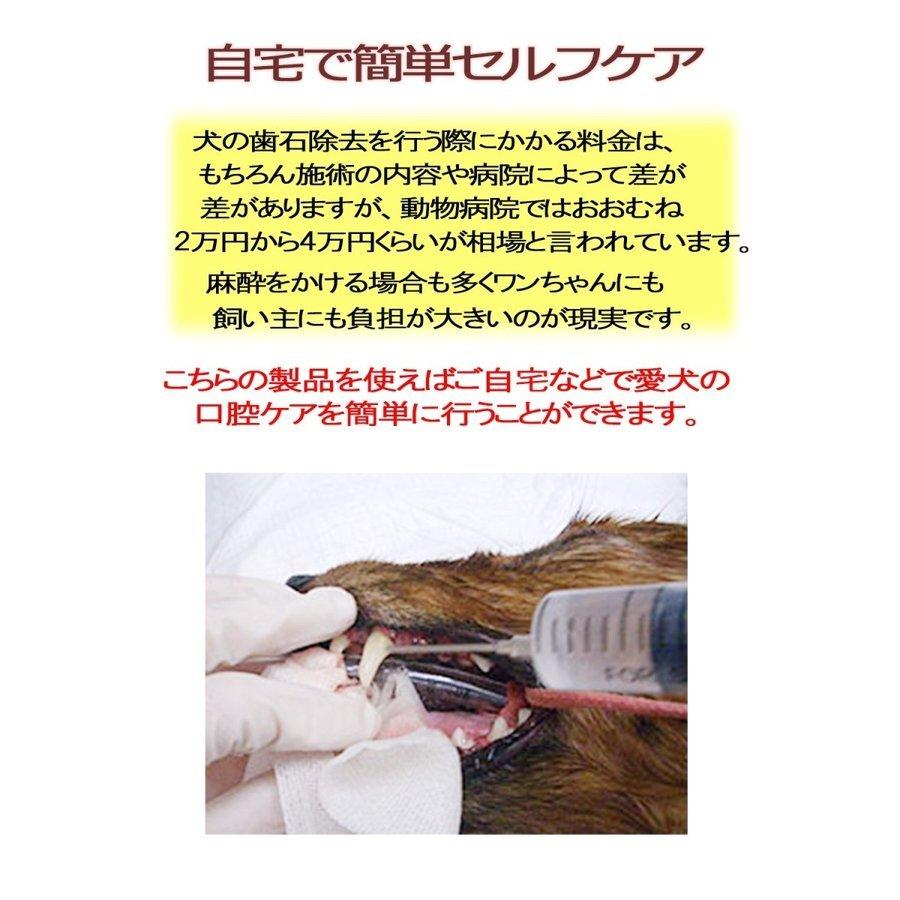 犬用スケーラー 歯石除去 歯石取り 器具 ペット 歯磨き 犬 猫 わんちゃん 口腔ケア 両頭タイプ フラットタイプ 鉤形 鎌形 タイプ5本セット Kaze0145 風ストア 通販 Yahoo ショッピング