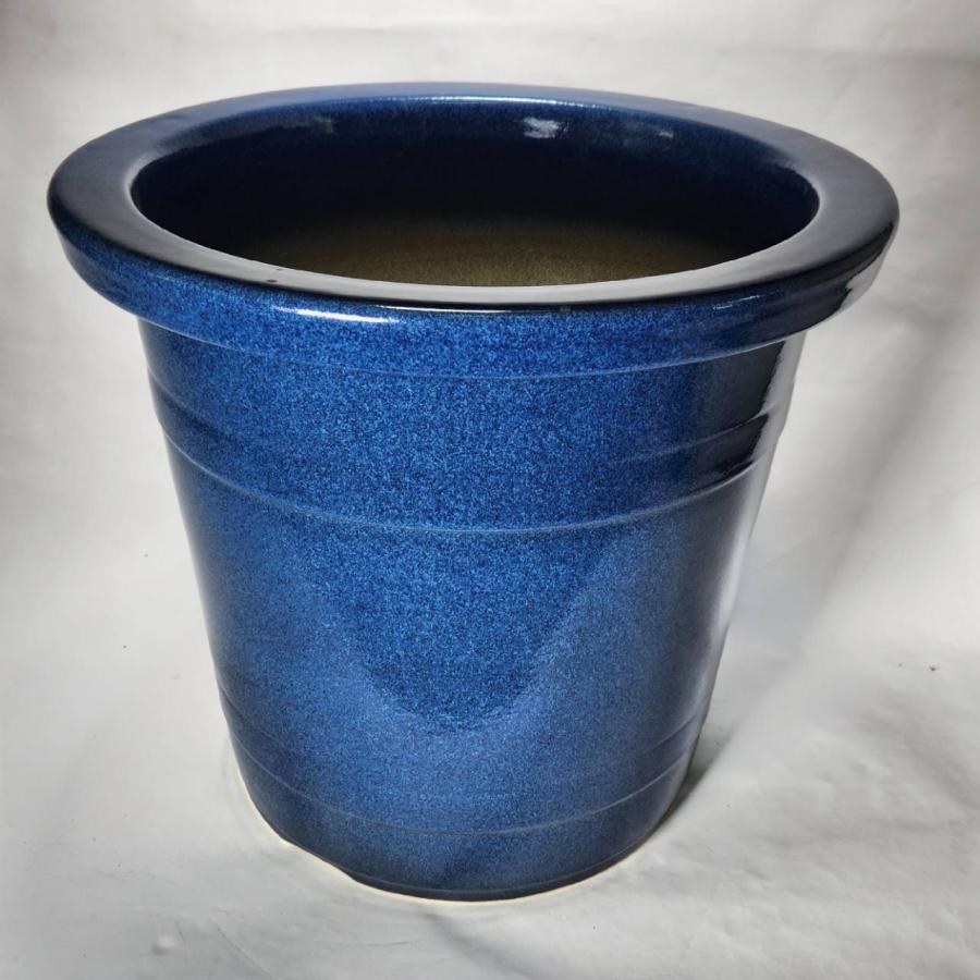 生子懸崖 9号 信楽焼 植木鉢 ガーデニング 陶器 鉢 : 風の水琴工房