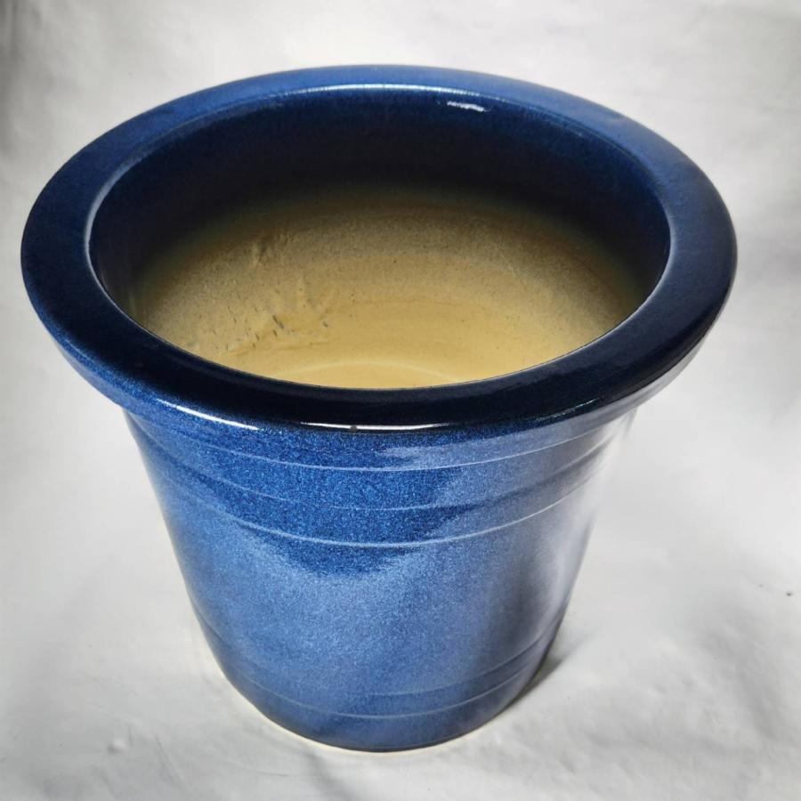 生子懸崖 9号 信楽焼 植木鉢 ガーデニング 陶器 鉢 : 風の水琴工房