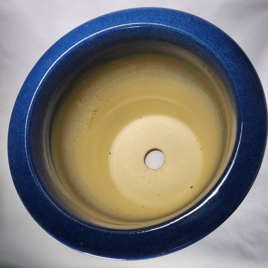 生子懸崖 13号 信楽焼 植木鉢 ガーデニング 陶器 鉢 園芸用品 生子懸崖