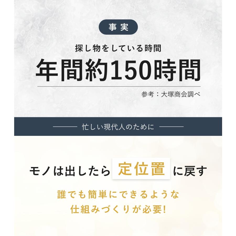 Y-STYLE 魔法の収納 トートバッグ M ショルダーストラップ付 2WAY 大容量 25ポケット A4 PCポケット 整理収納アドバイザー 赤工友里プロデュース ワイスタイルの画像