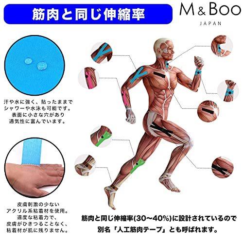 超歓迎 テーピングテープ キネシオテープ ライトブル M Boo 5m X 5cm 通気性伸縮性汗に強い 筋肉関節サポート 2巻入 キネシオロジーテープ その他の部位用 Www Metahospitalar Com Br