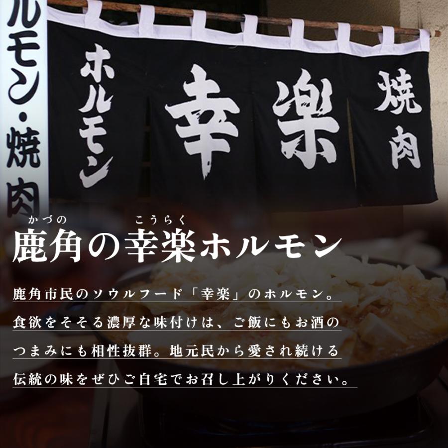 幸楽ホルモン 3.5kg 10人前【ホルモン幸楽】贈り物 ギフト 故郷 秋田