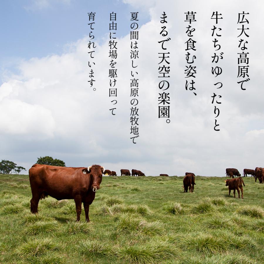 かづの牛だしスゥプ 5個セット 1袋200g入【恋する鹿角カンパニー】牛 調味料 スープ 贈り物 お取り寄せ ギフト 故郷 国産牛 お取り寄せ 秋田 鹿角市 送料無料 |  | 06
