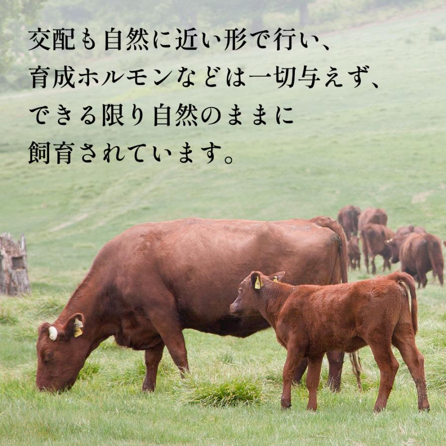 かづの牛だしスゥプ 5個セット 1袋200g入【恋する鹿角カンパニー】牛 調味料 スープ 贈り物 お取り寄せ ギフト 故郷 国産牛 お取り寄せ 秋田 鹿角市 送料無料 |  | 07