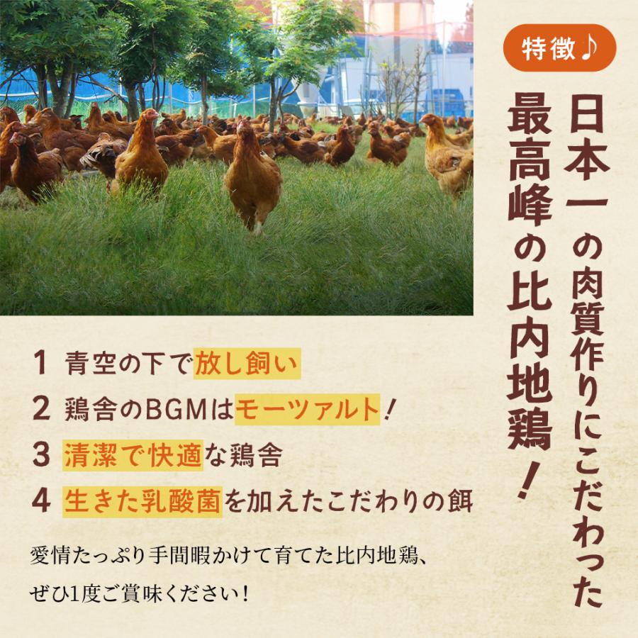 比内地鶏とスープセット（冷凍）【かづのわくわくファクトリー】比内地