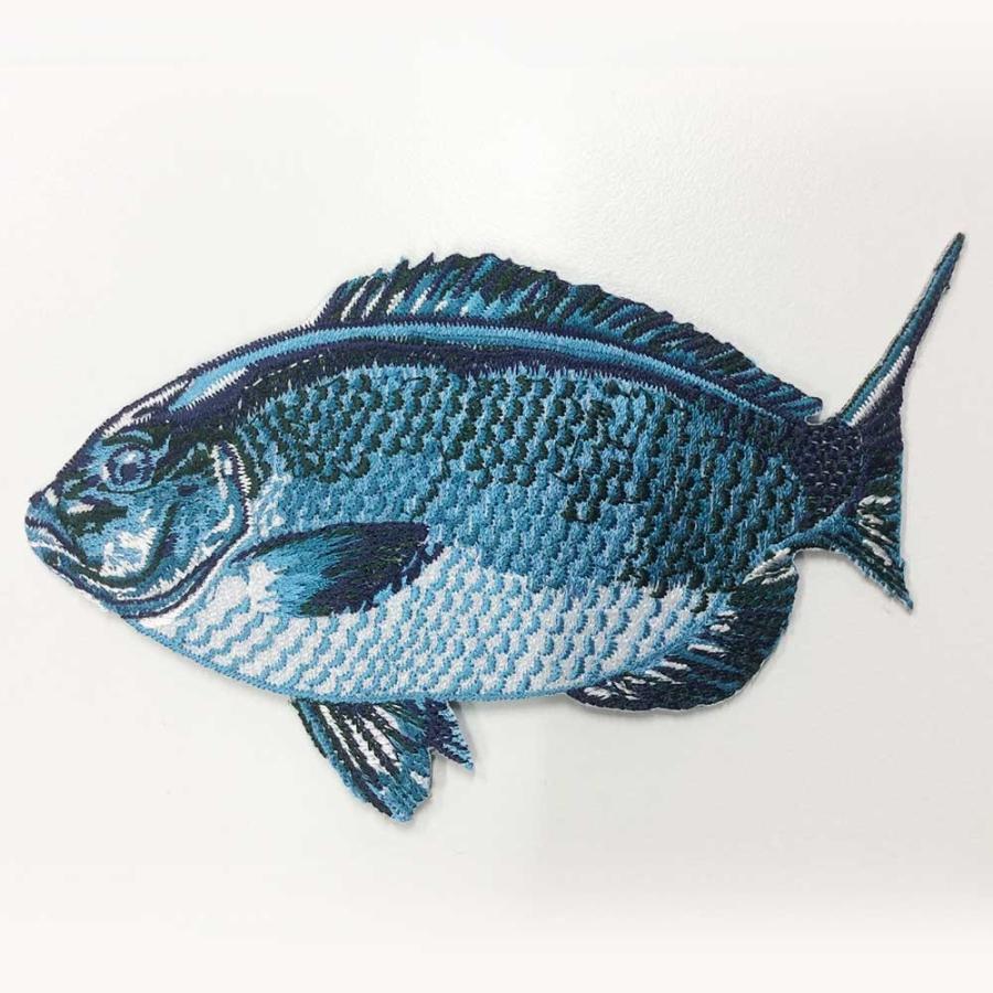 魚ワッペン大 メジナ Am019 かずの店 通販 Yahoo ショッピング
