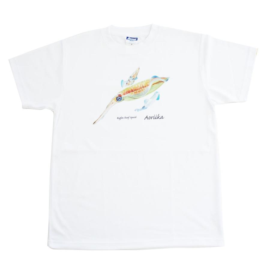 魚tシャツ アオリイカ ドライメッシュtシャツ Fdt 13 かずの店 通販 Yahoo ショッピング