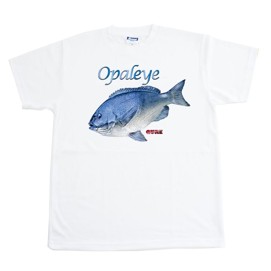 魚tシャツ メジナ ドライメッシュtシャツ Fdt 41 かずの店 通販 Yahoo ショッピング