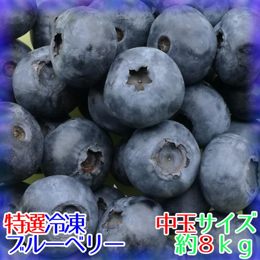 送料込】【特選】完熟冷凍ブルーベリー[中玉]約8kg【農薬不