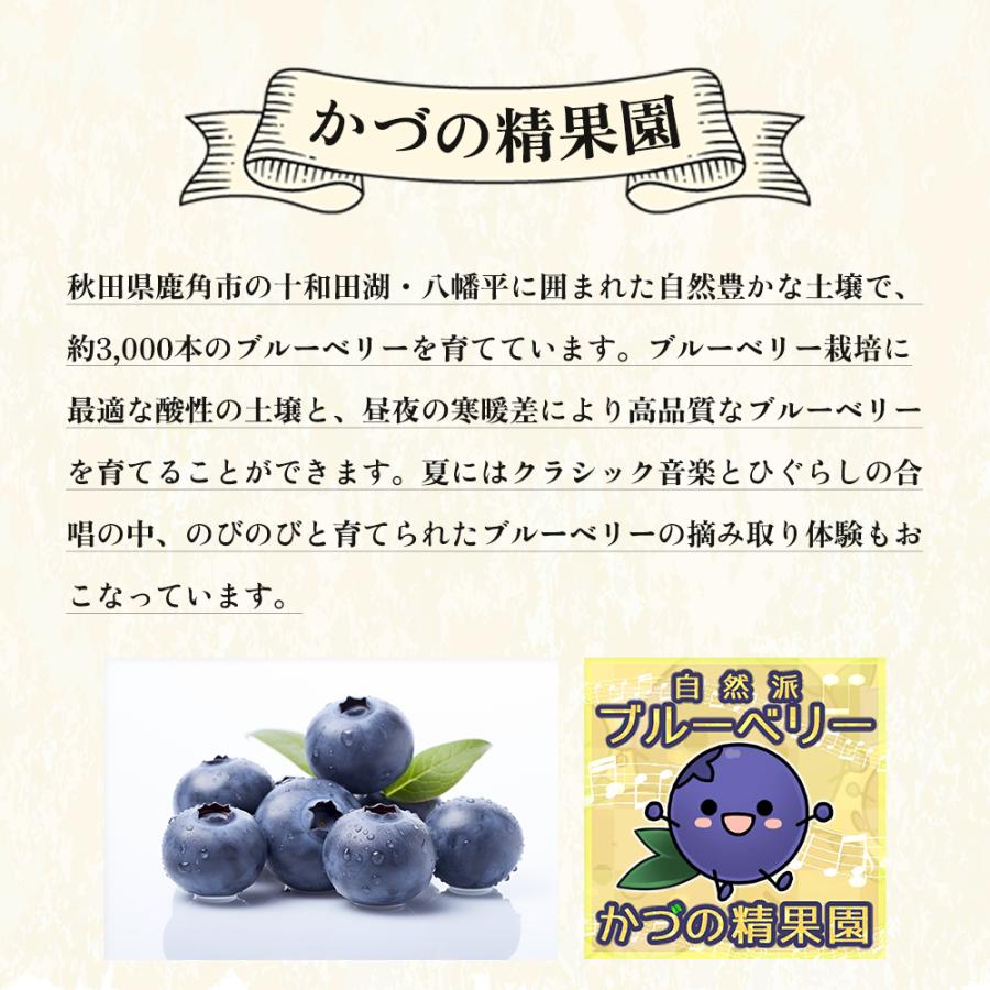 送料込】ほぼ訳なし冷凍ブルーベリー【たっぷり約2kg】スムージーに