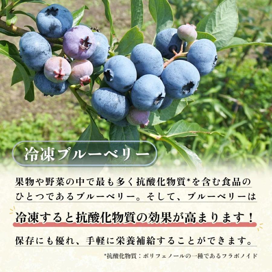 送料込】ほぼ訳なし冷凍ブルーベリー【たっぷり約2kg 送料込】ほぼ訳なし冷凍ブルーベリー【たっぷり約2kg