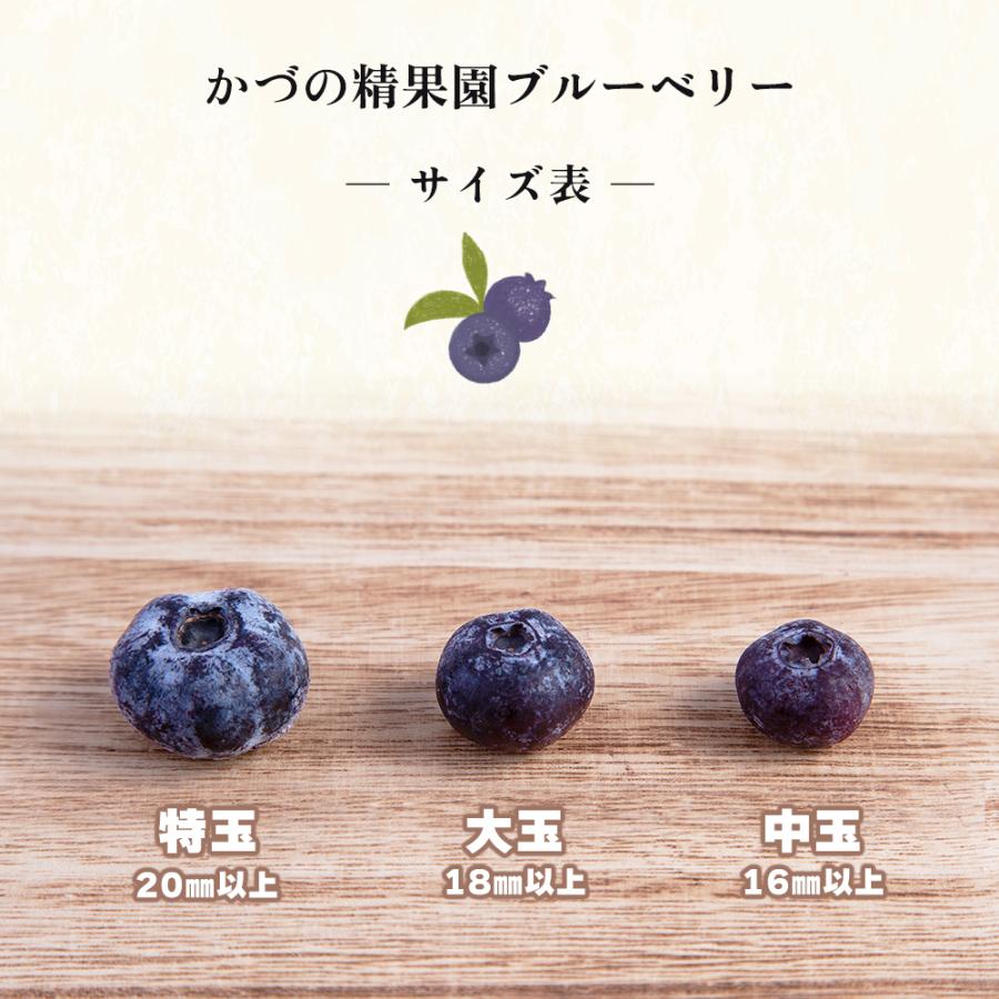 送料込】ほぼ訳なし冷凍ブルーベリー【たっぷり約2kg】スムージーに