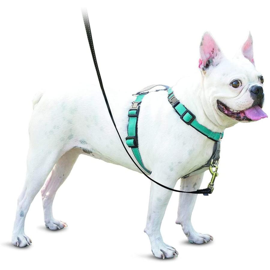 Petsafe 3 In 1 犬 ハーネス 小型犬 引っ張り防止 調整簡単 抜けない 耐久性が高い 夜間反射 車の中で安全 S グリーン ティール ハーネス 胴輪 Owircmolas Pl