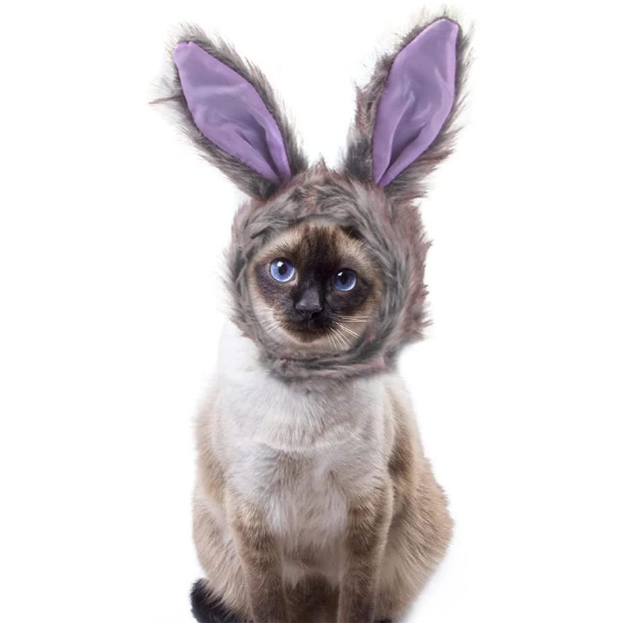 被り物 帽子 キャットウエア ねこ イヌ 猫の帽子 ライオン耳付き ライオン 猫 コスプレ ペット用 たてがみ 小型犬 ネコちゃん 猫用品
