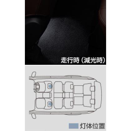 トヨタ（TOYOTA） トヨタ純正 インテリアイルミネーション [リヤ