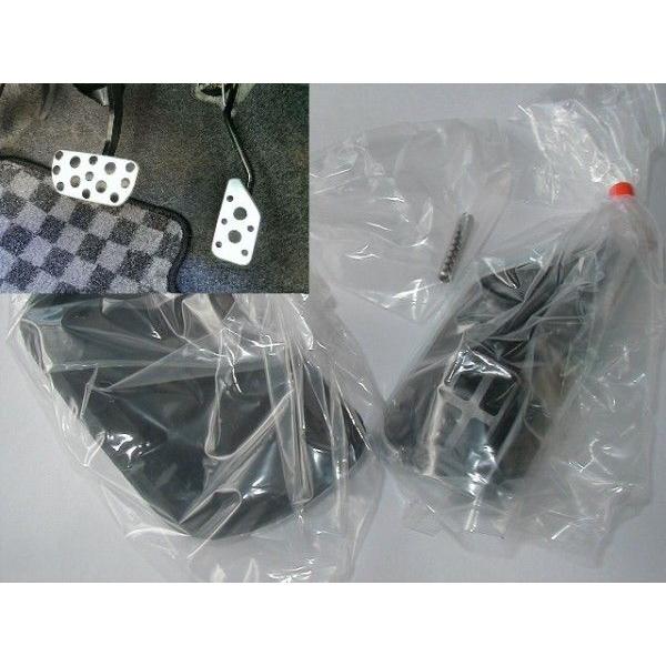 ユーフォルビアホリダ 夜一 -Yoichi- 超選抜 親株サイズ